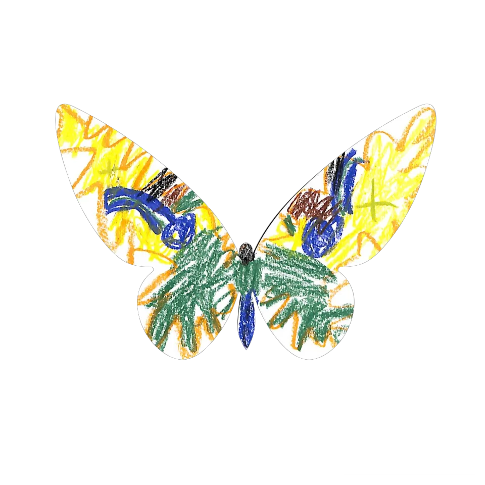 Original Butterfly Image
