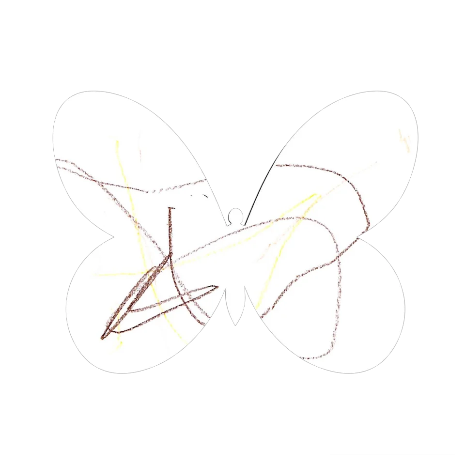 Original Butterfly Image