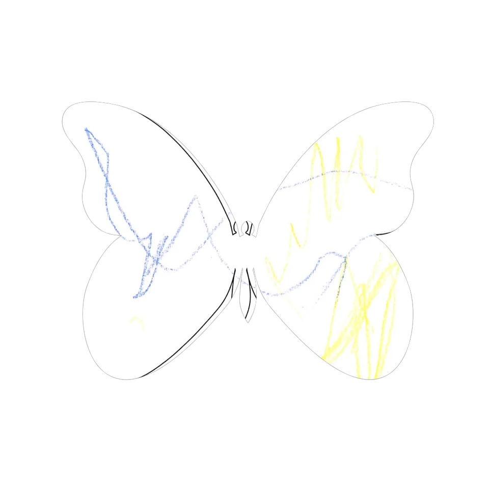 Original Butterfly Image