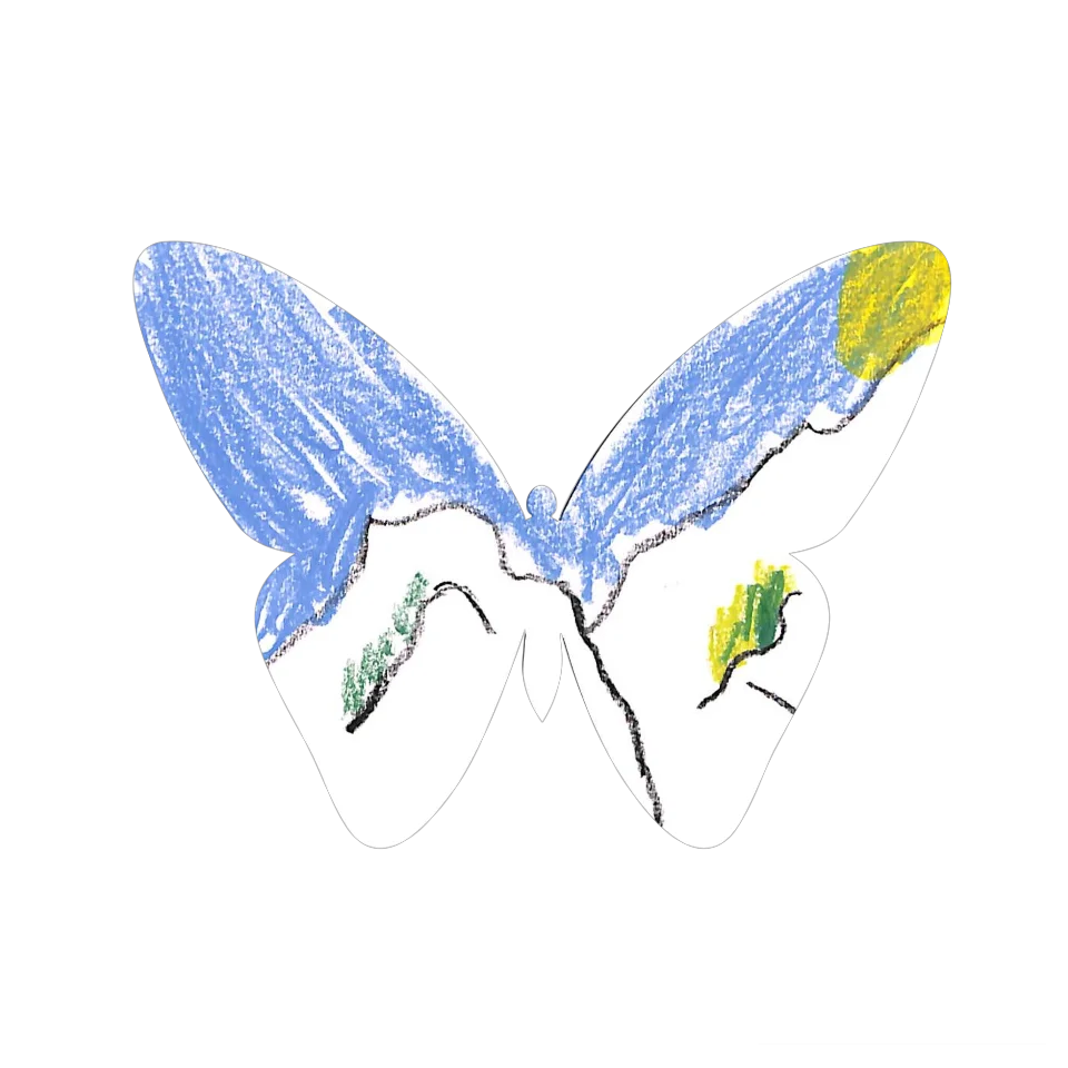 Original Butterfly Image