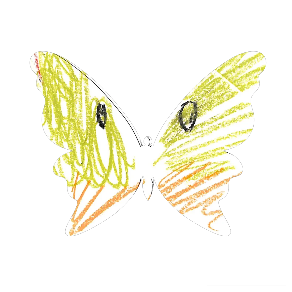 Original Butterfly Image