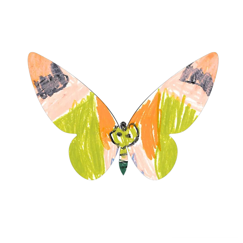 Original Butterfly Image