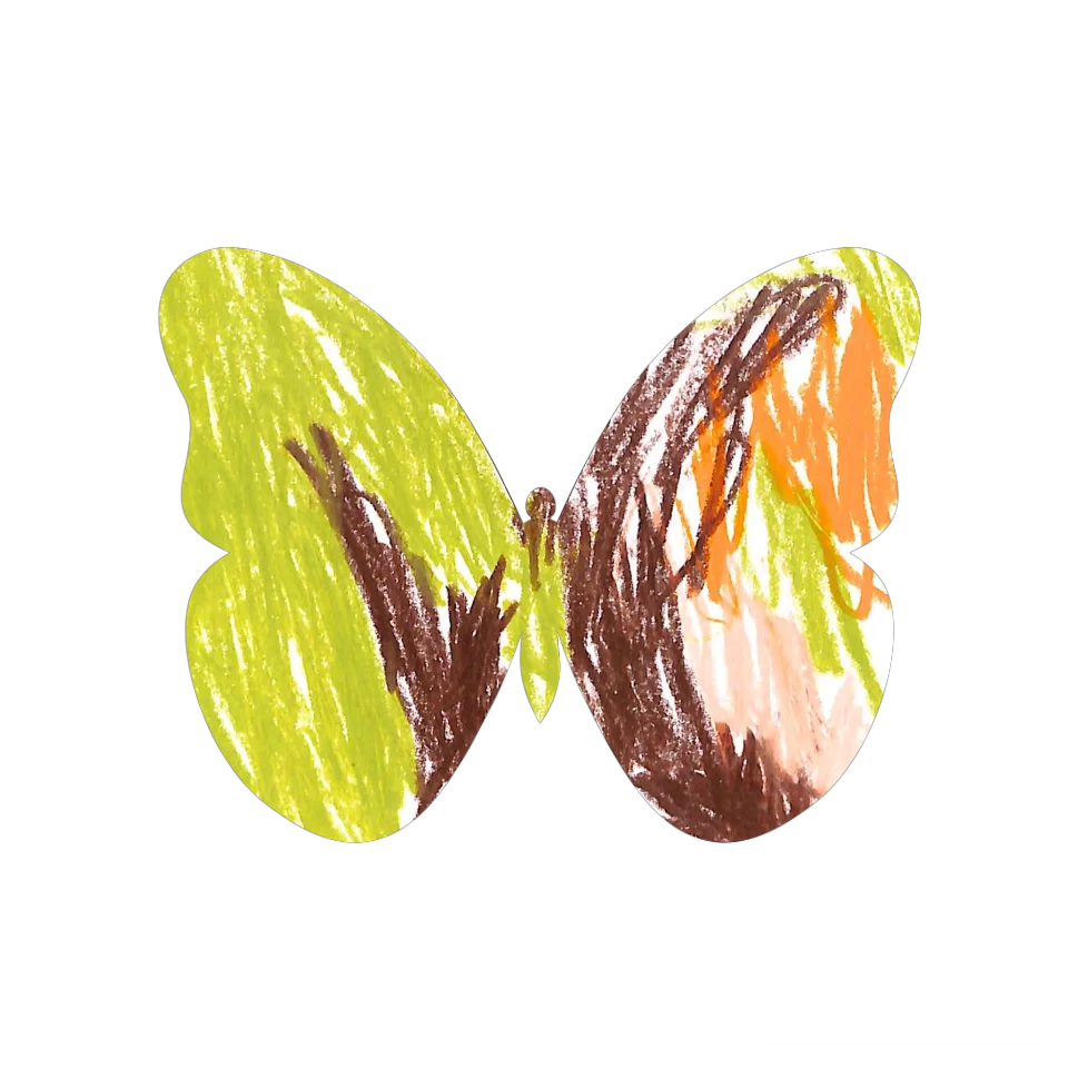 Original Butterfly Image