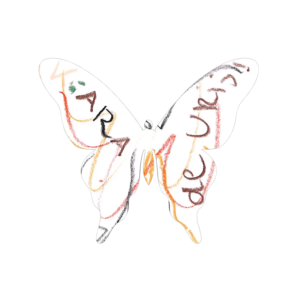 Original Butterfly Image