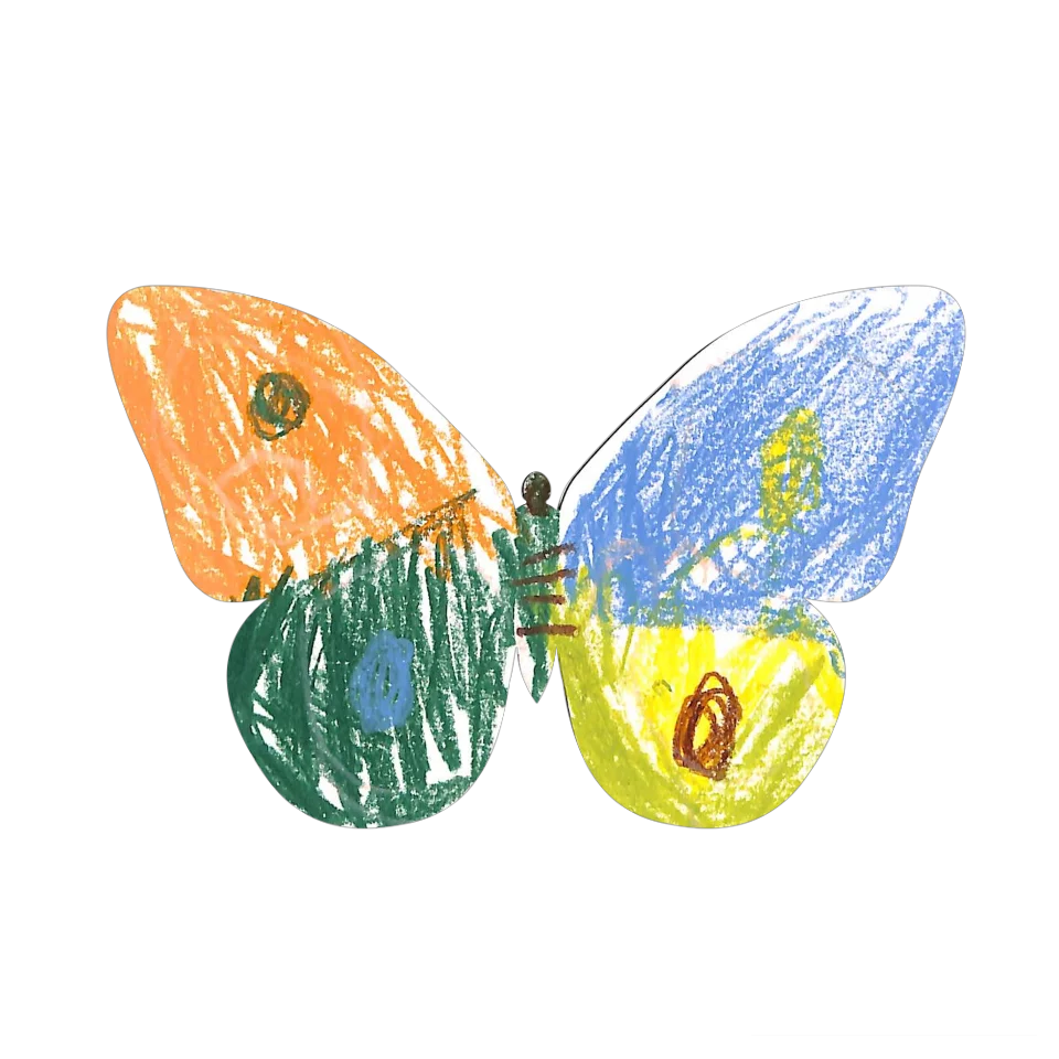 Original Butterfly Image