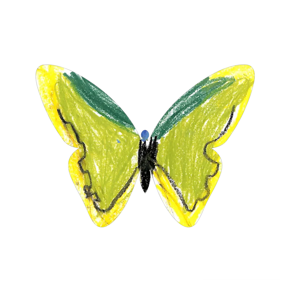 Original Butterfly Image