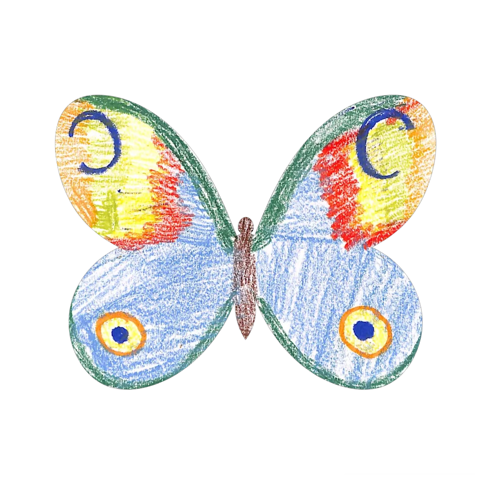 Original Butterfly Image