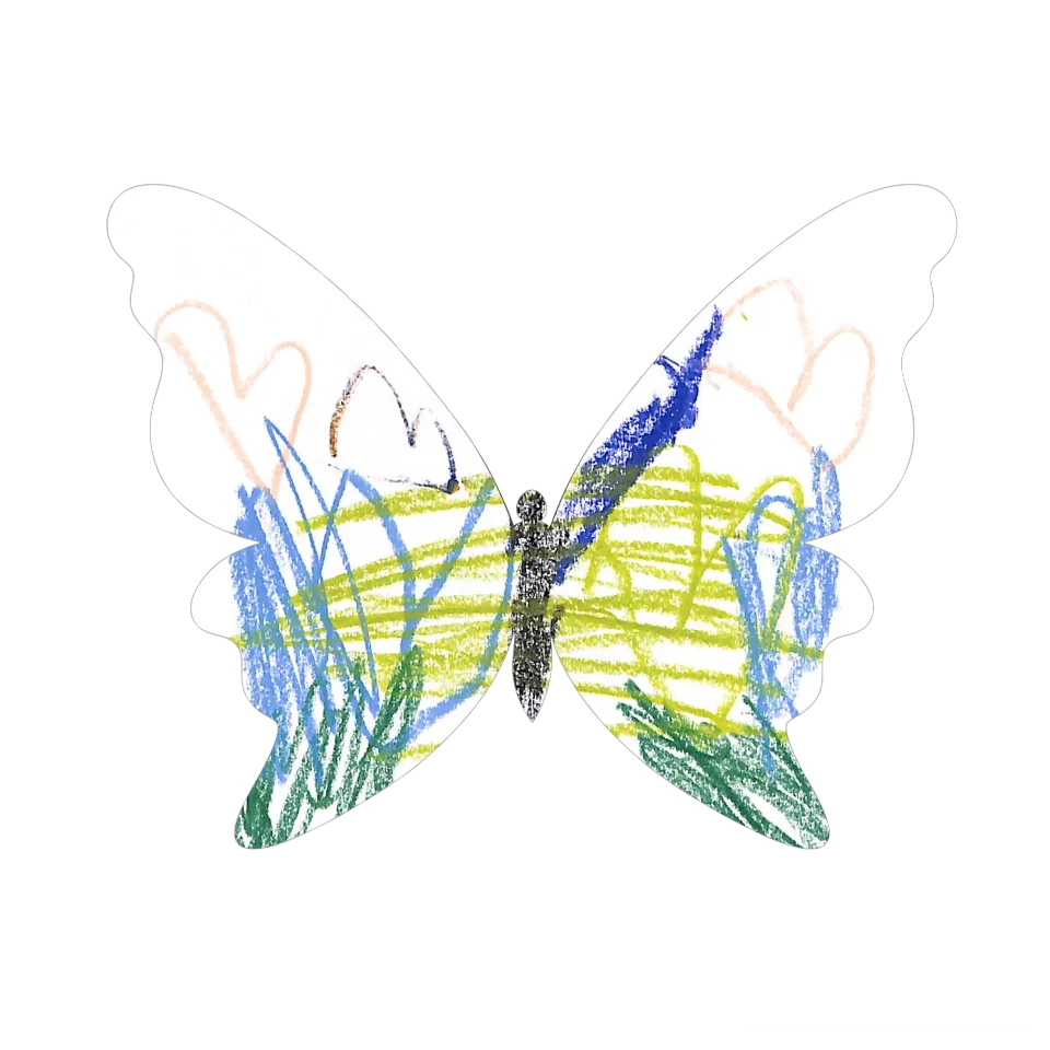 Original Butterfly Image