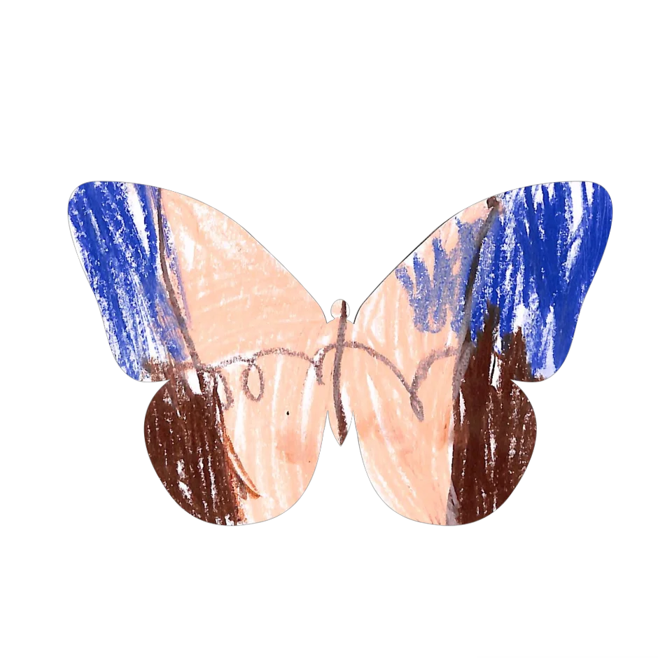 Original Butterfly Image