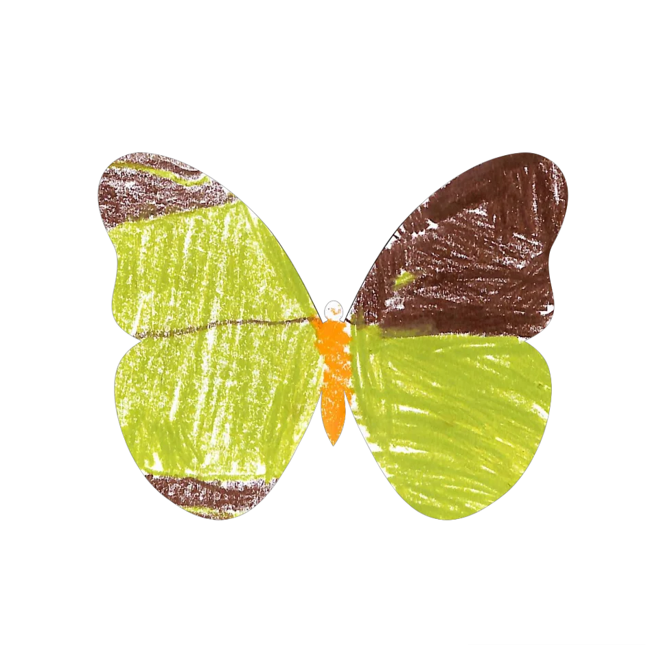 Original Butterfly Image