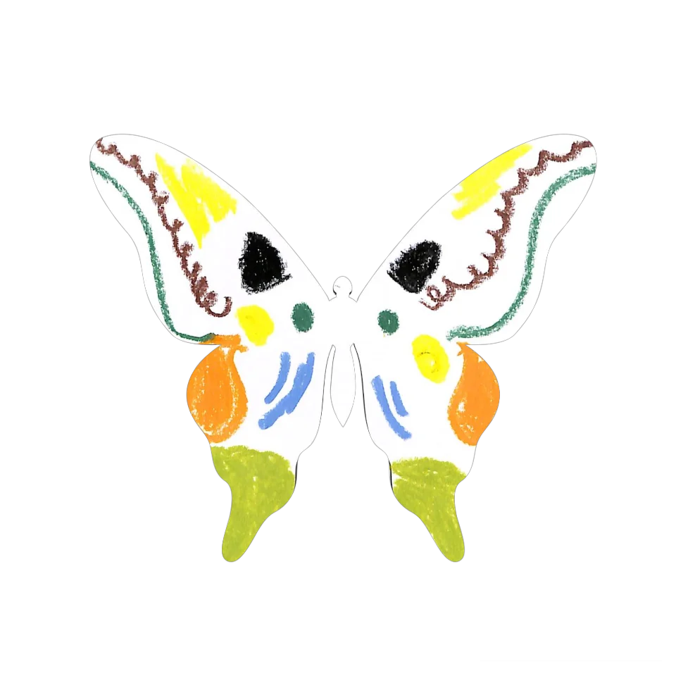 Original Butterfly Image