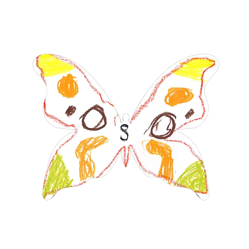 Original Butterfly Image
