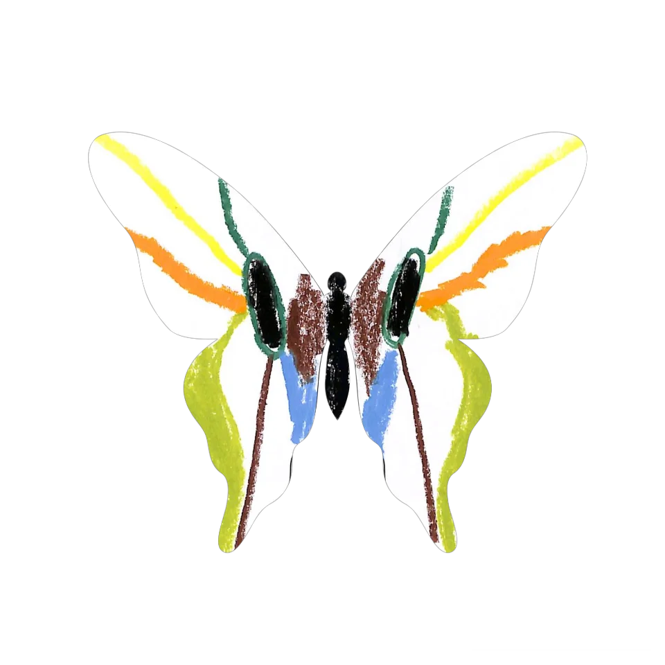 Original Butterfly Image