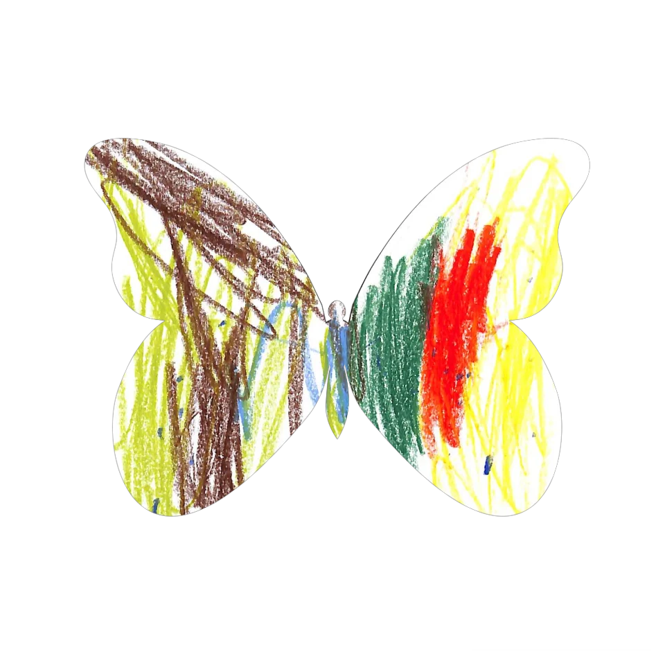 Original Butterfly Image