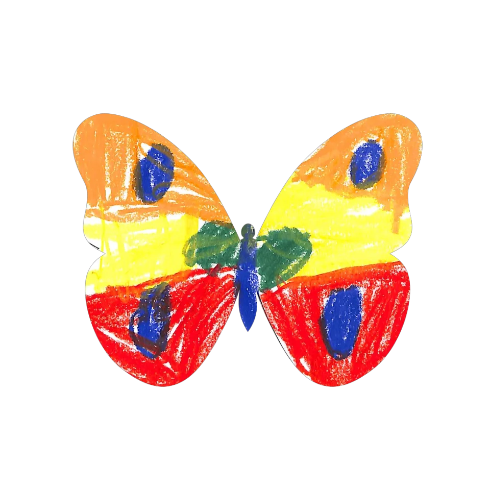 Original Butterfly Image