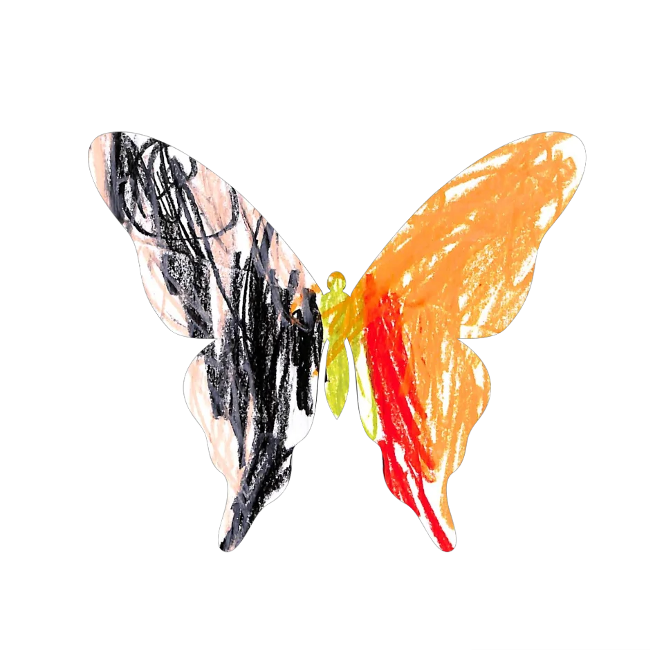 Original Butterfly Image