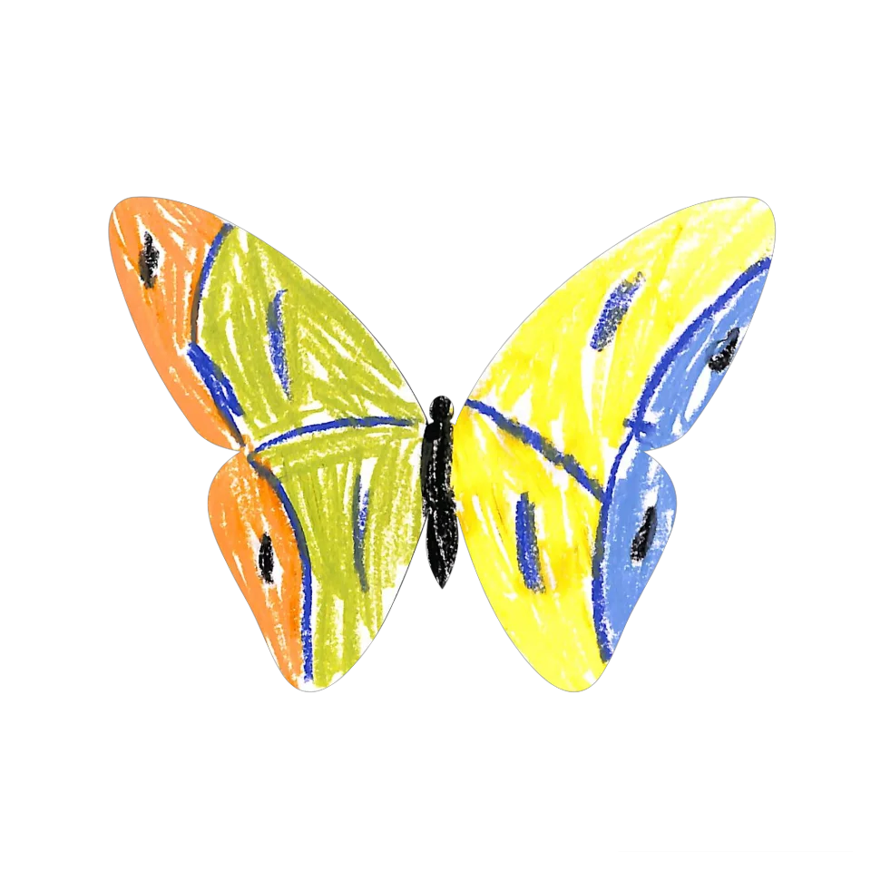 Original Butterfly Image