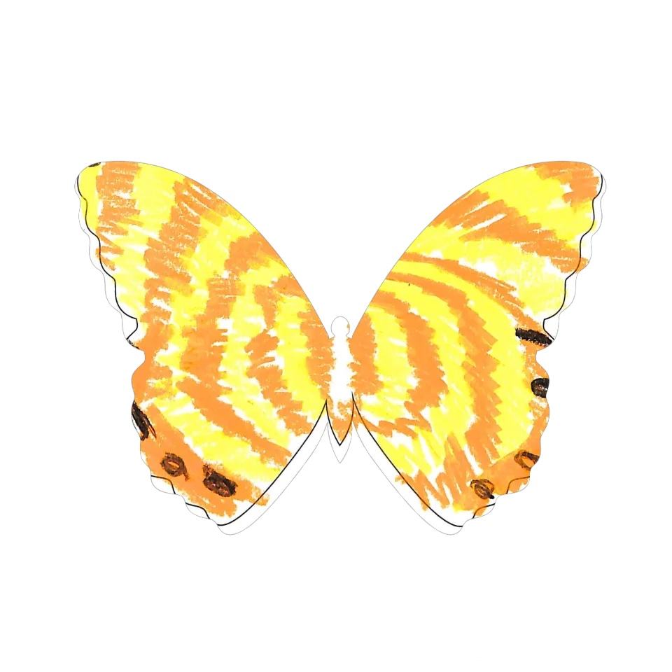 Original Butterfly Image