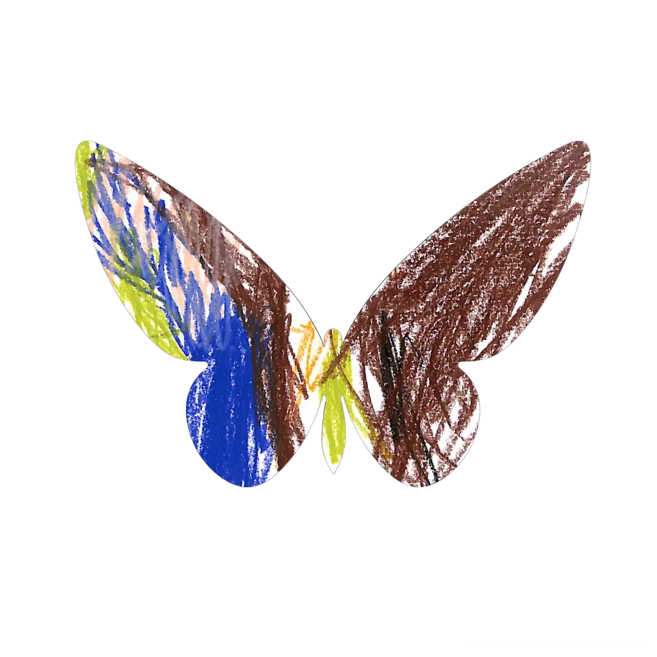 Original Butterfly Image