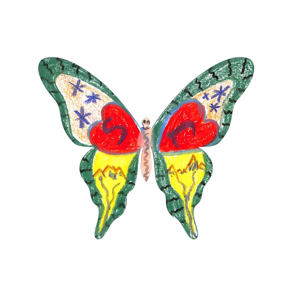Original Butterfly Image
