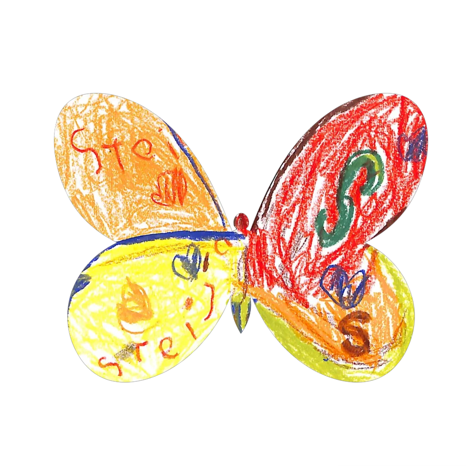 Original Butterfly Image