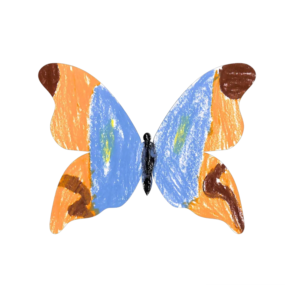 Original Butterfly Image