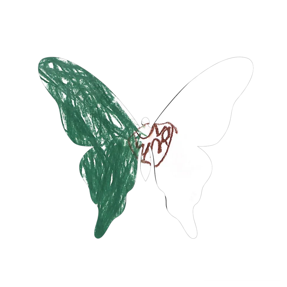 Original Butterfly Image
