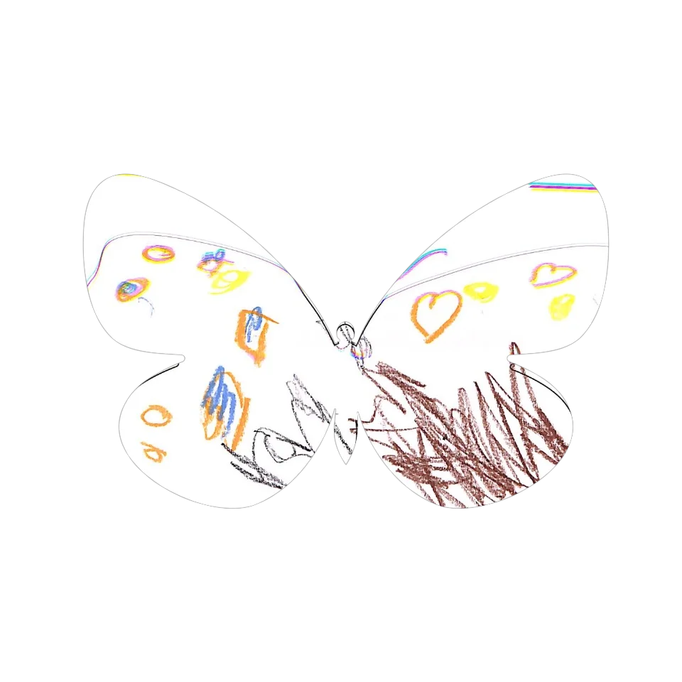 Original Butterfly Image