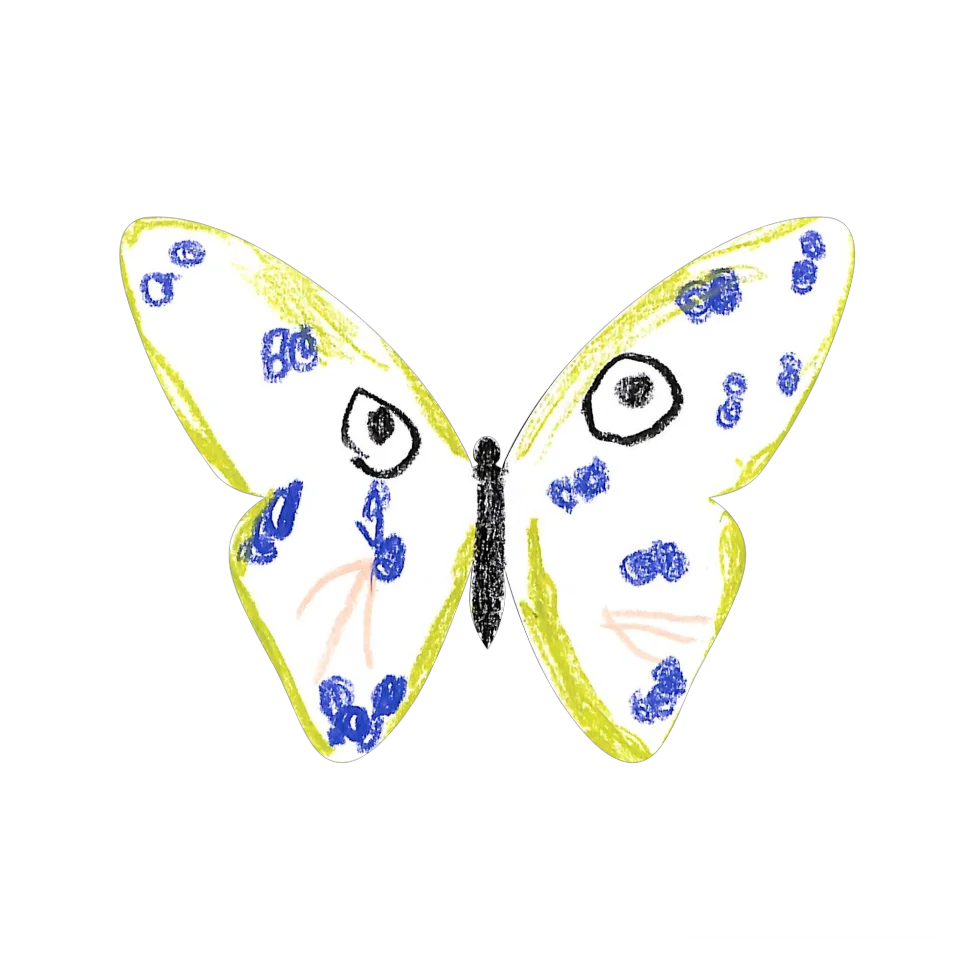 Original Butterfly Image