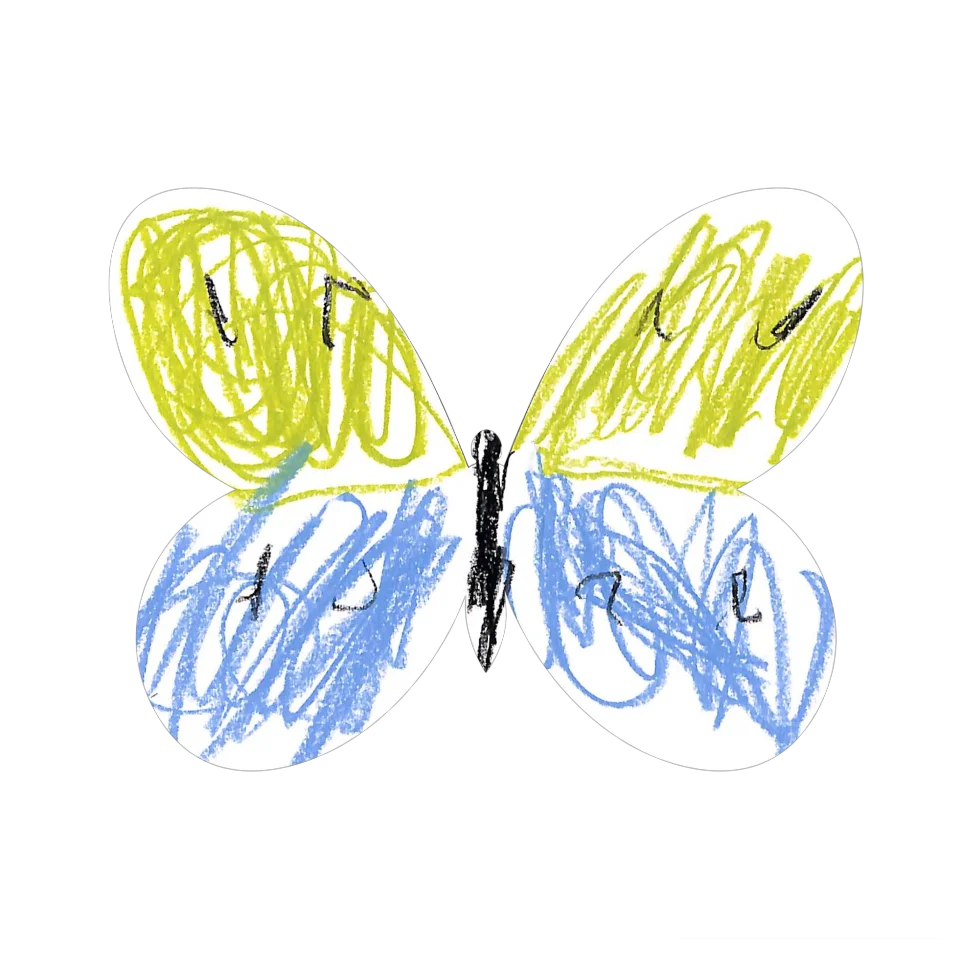 Original Butterfly Image