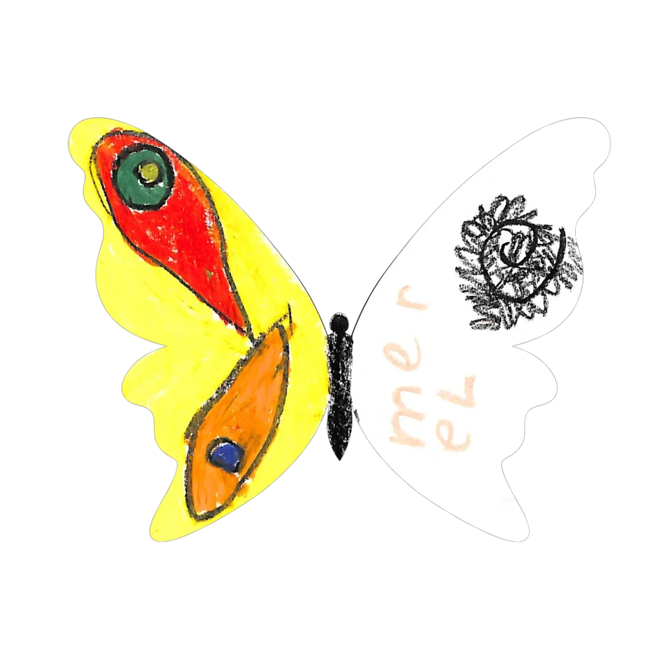 Original Butterfly Image