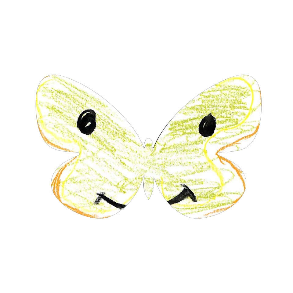 Original Butterfly Image