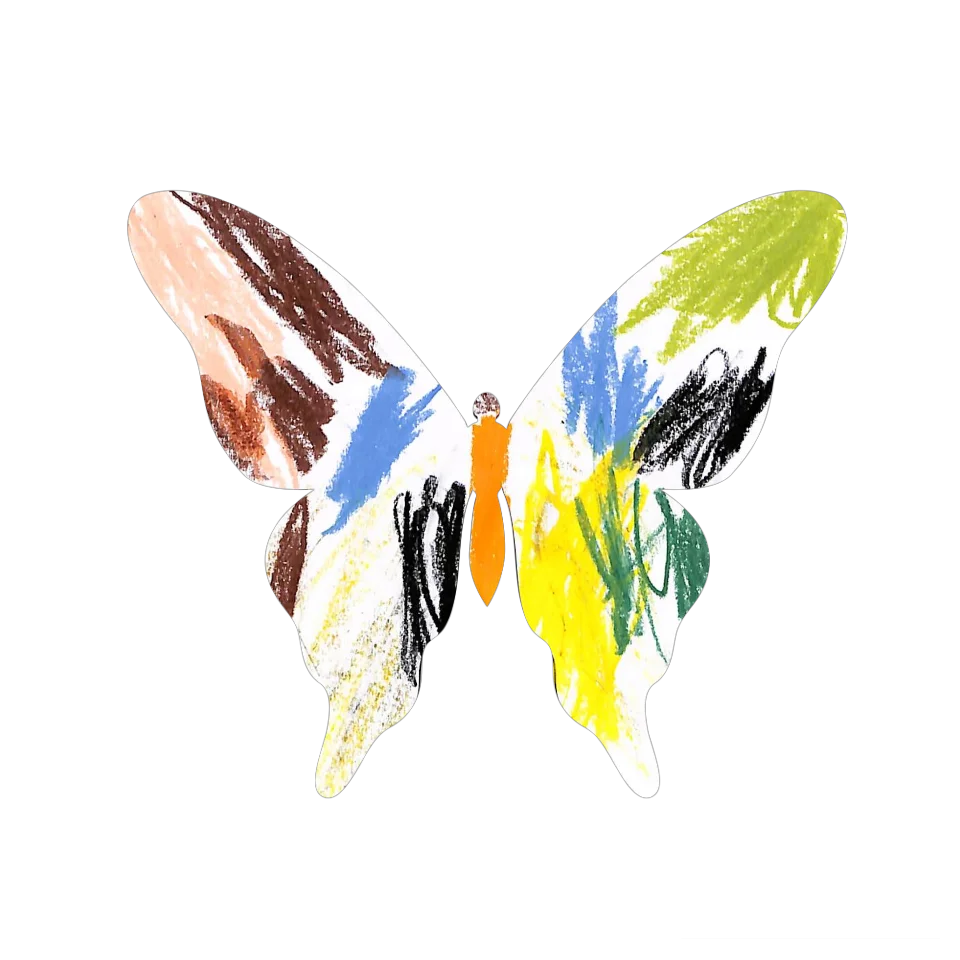Original Butterfly Image