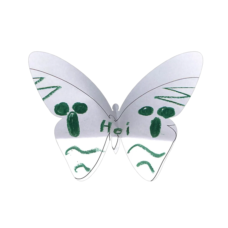 Original Butterfly Image