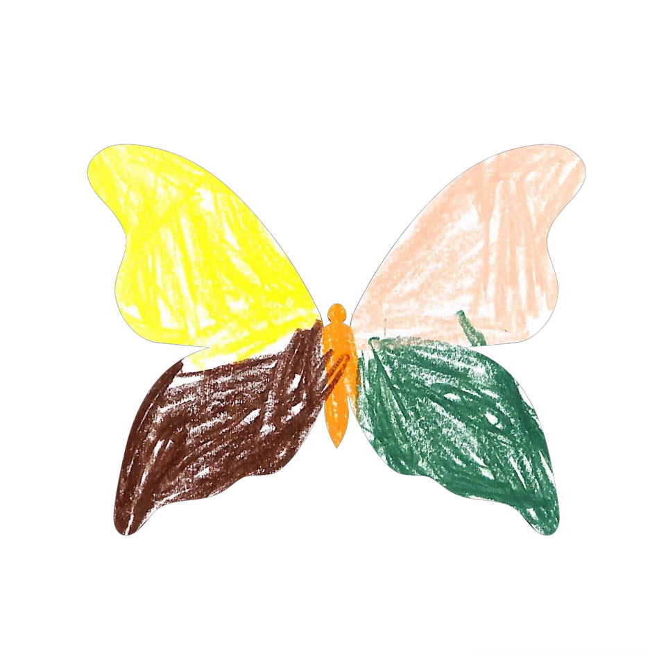 Original Butterfly Image
