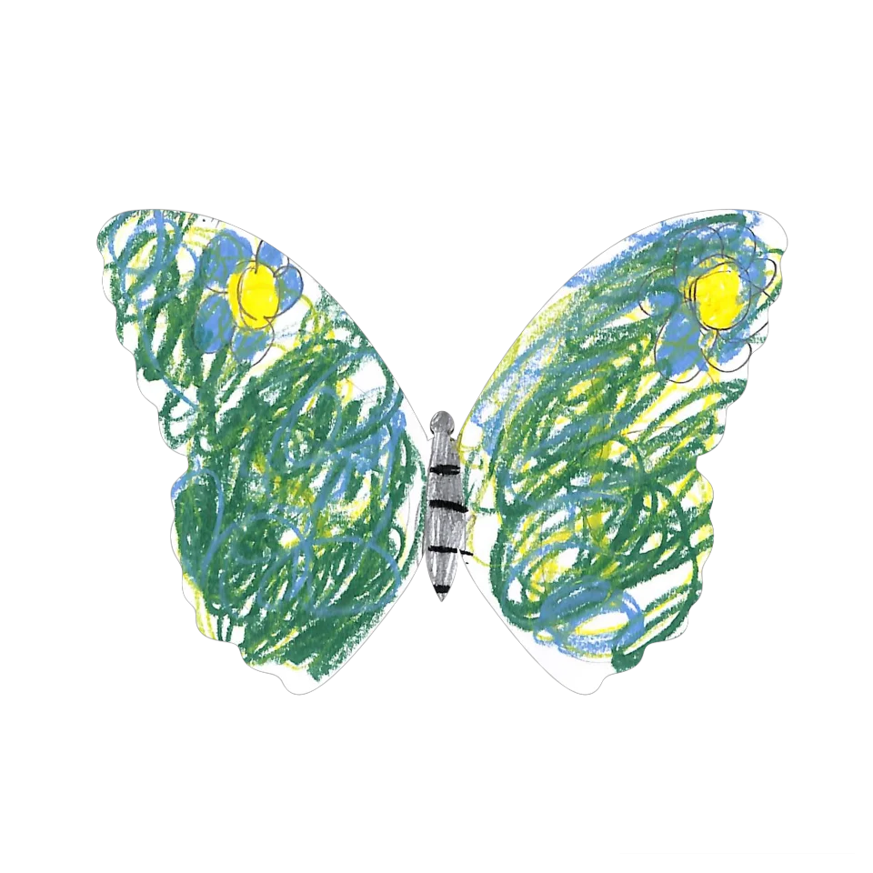 Original Butterfly Image