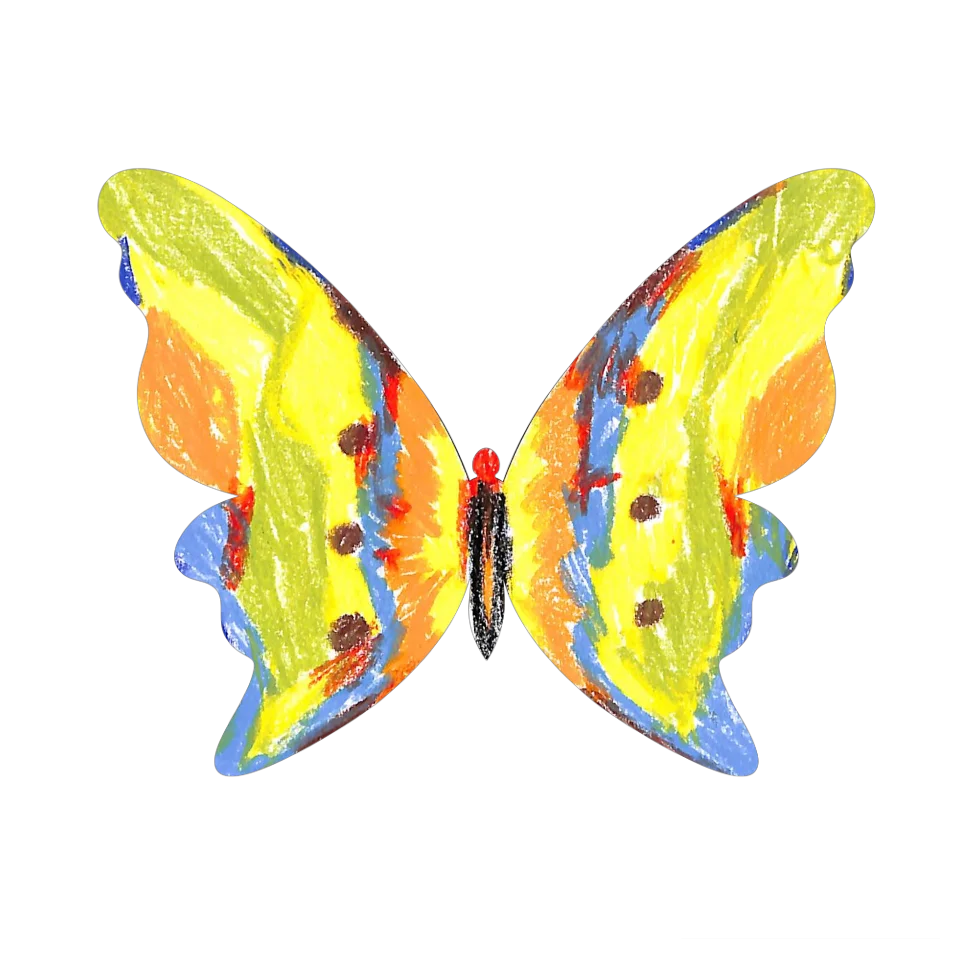 Original Butterfly Image