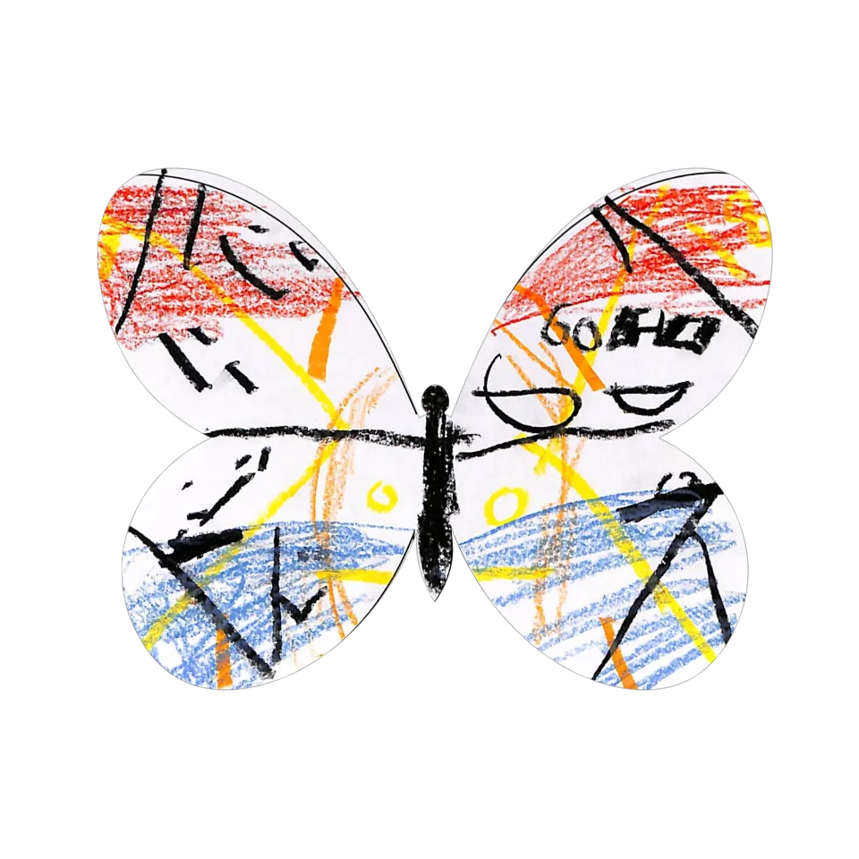 Original Butterfly Image
