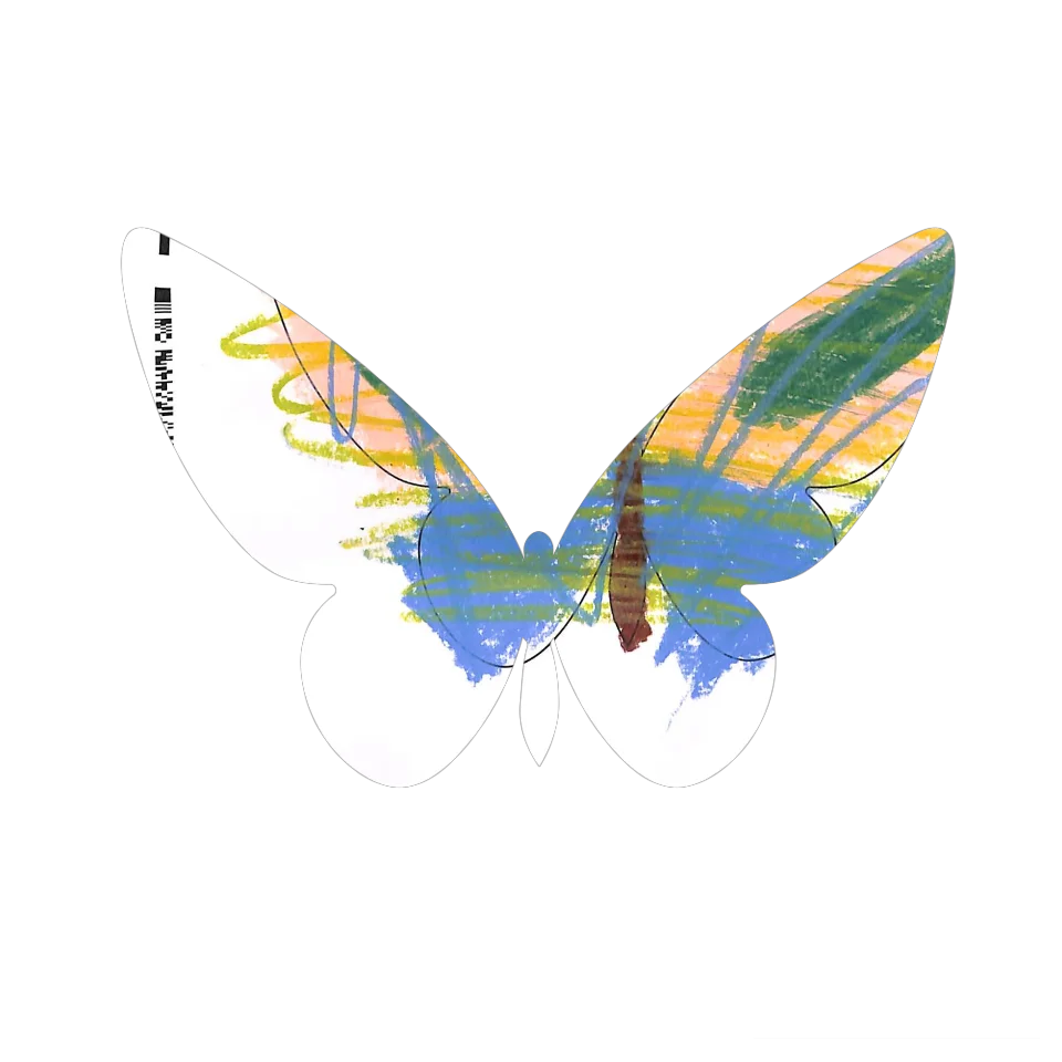 Original Butterfly Image