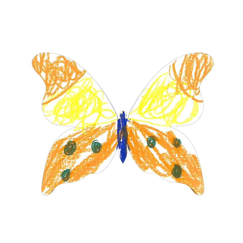 Original Butterfly Image
