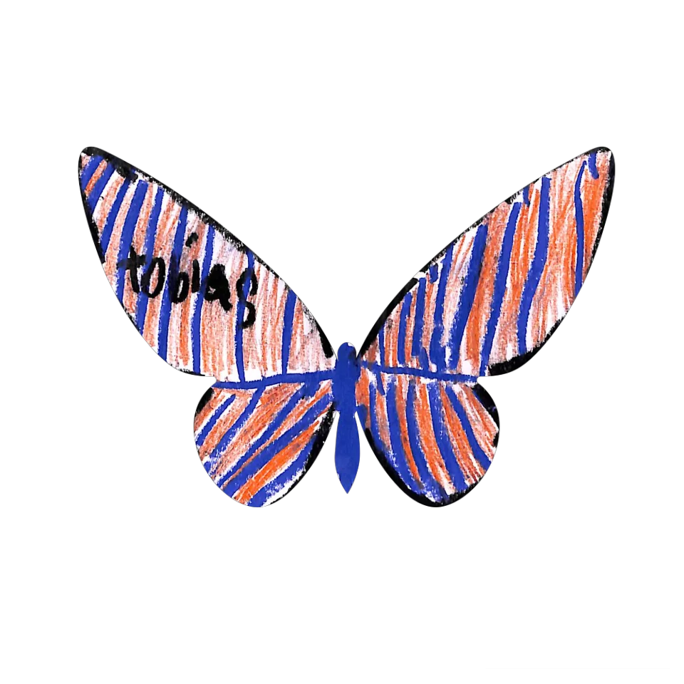 Original Butterfly Image