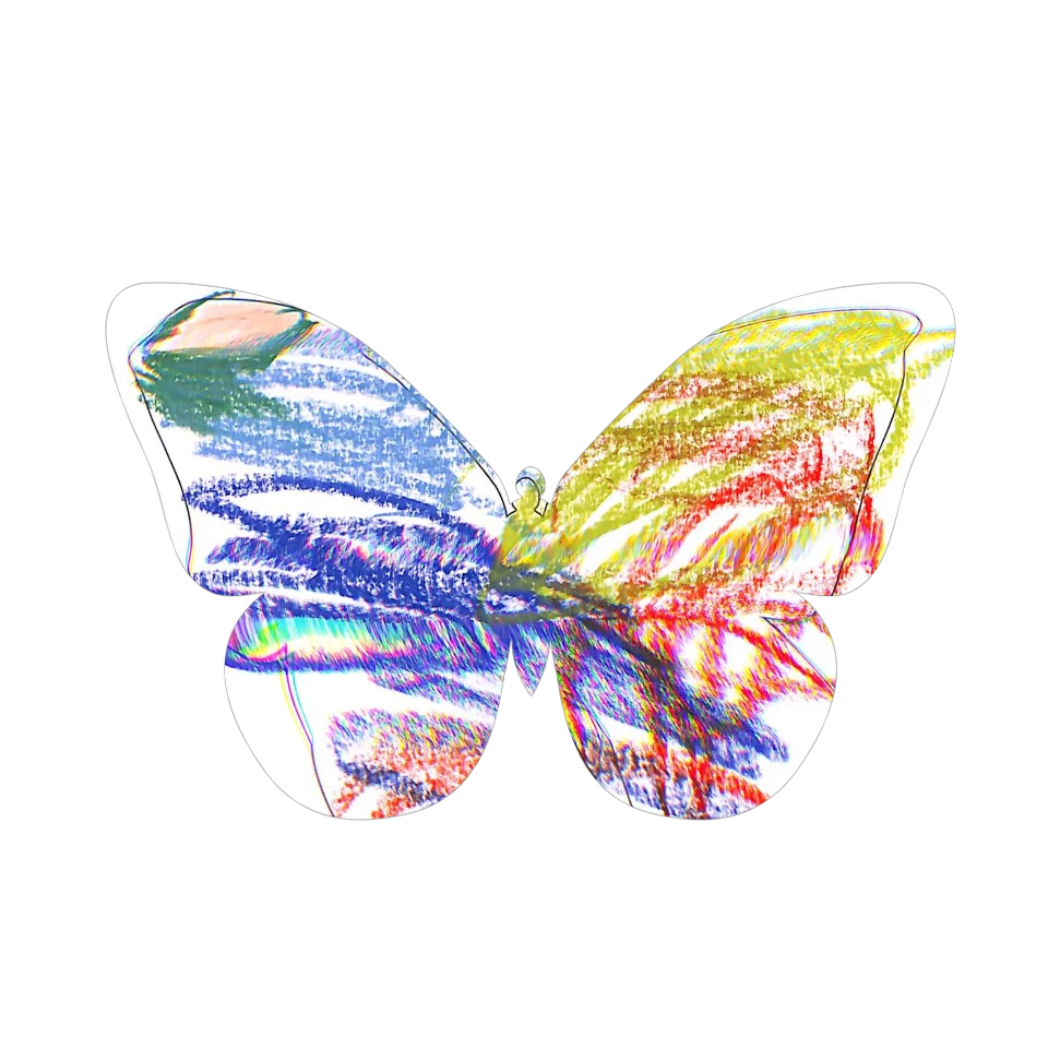 Original Butterfly Image