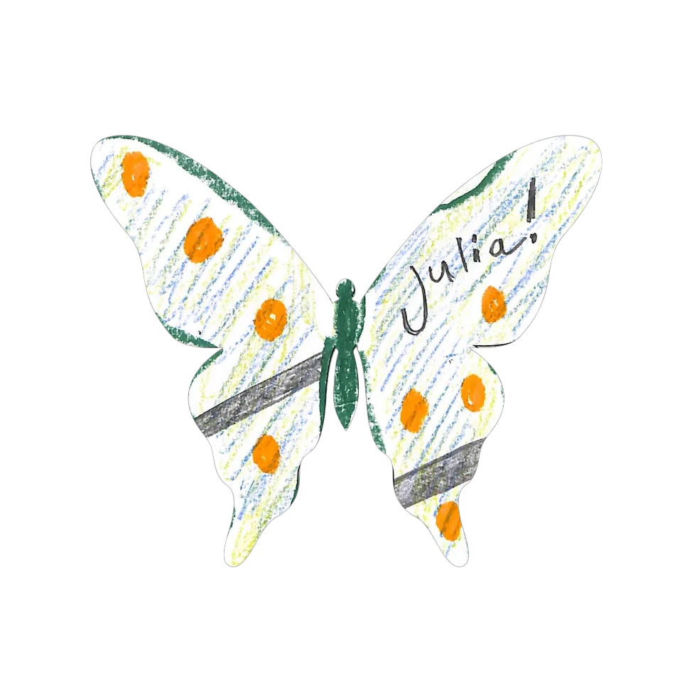 Original Butterfly Image