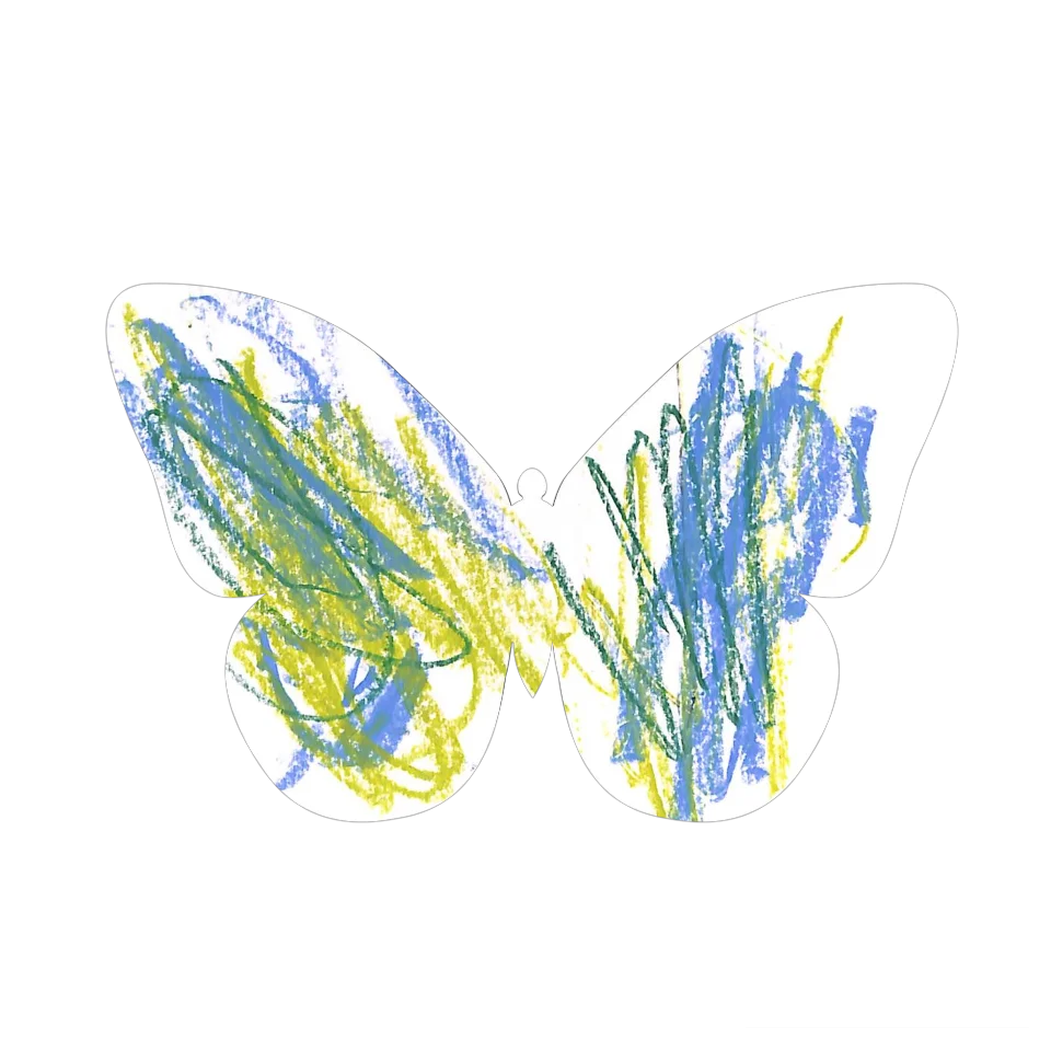 Original Butterfly Image
