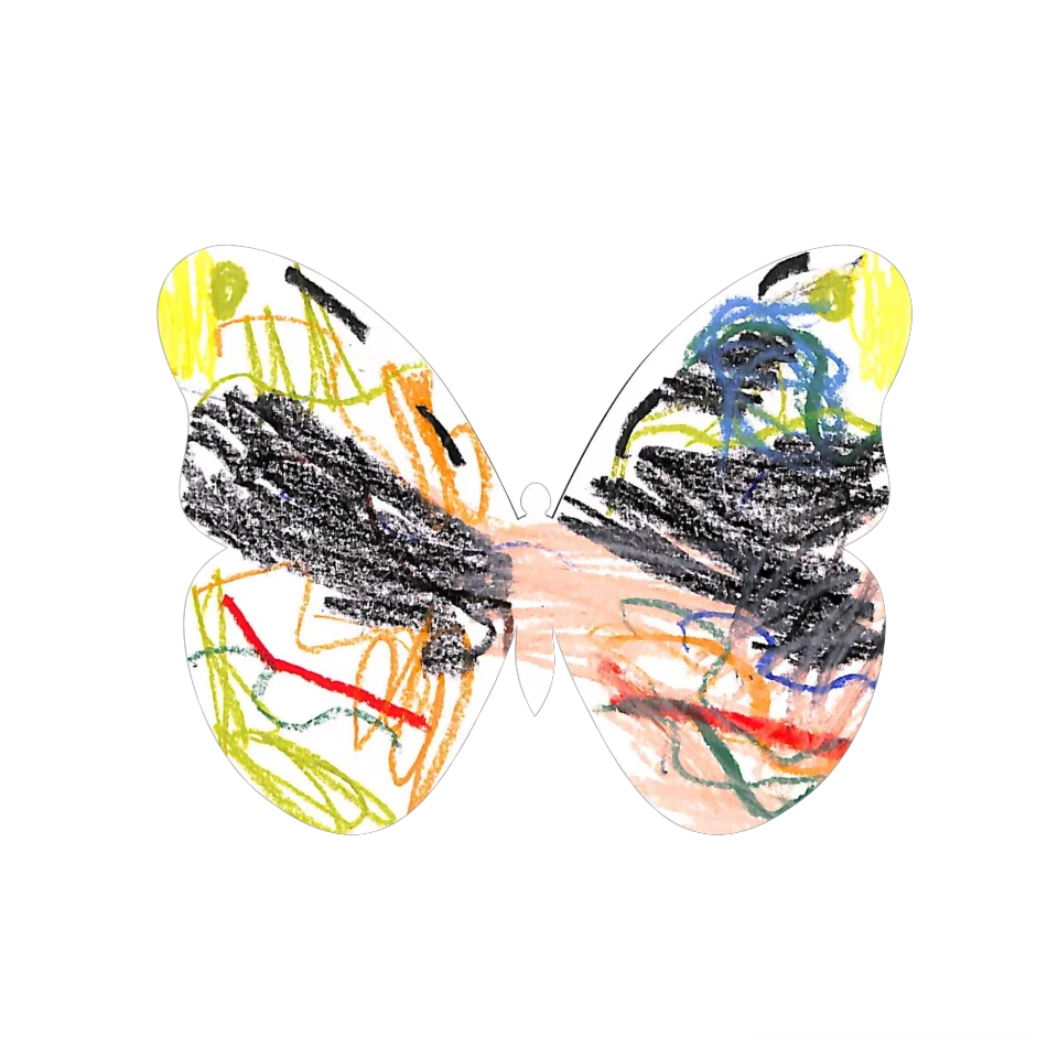 Original Butterfly Image