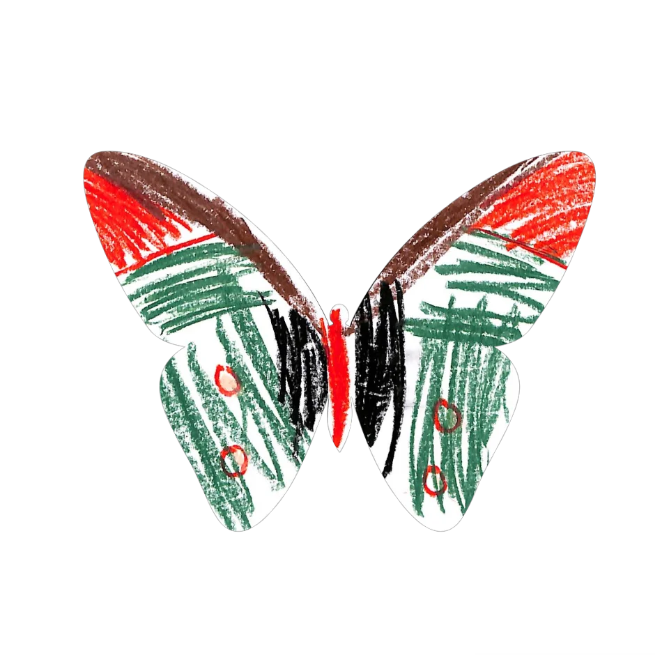Original Butterfly Image