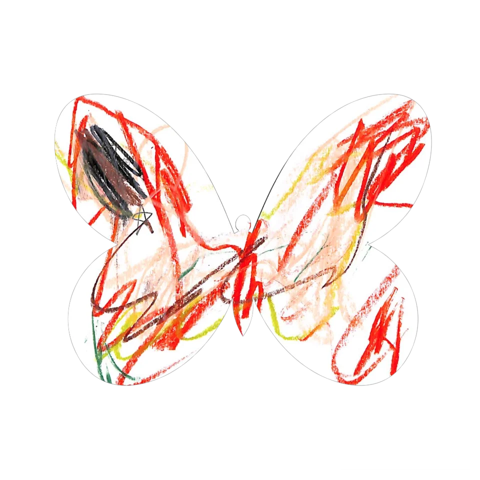 Original Butterfly Image