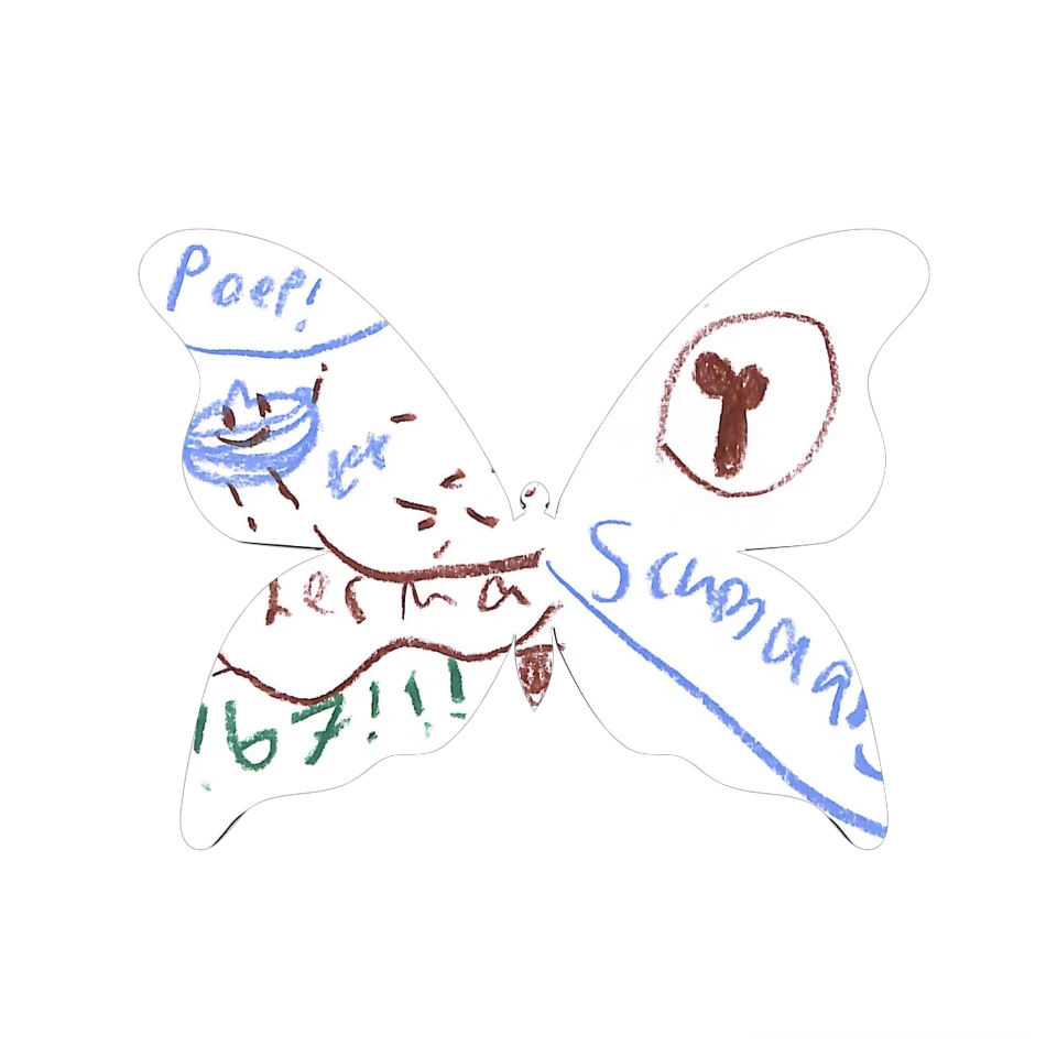 Original Butterfly Image