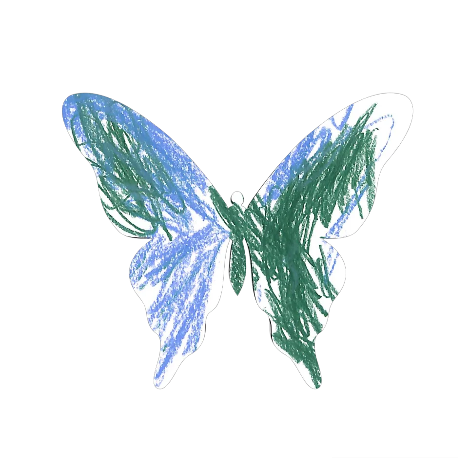 Original Butterfly Image