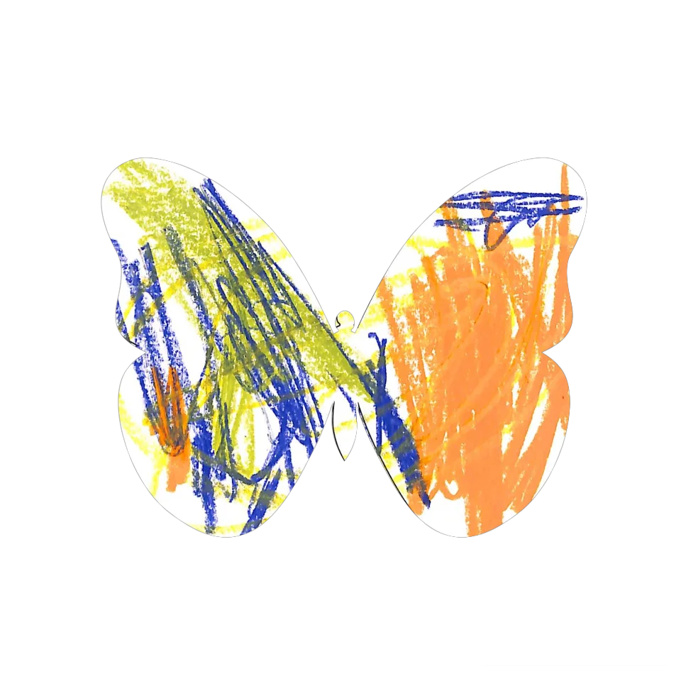 Original Butterfly Image